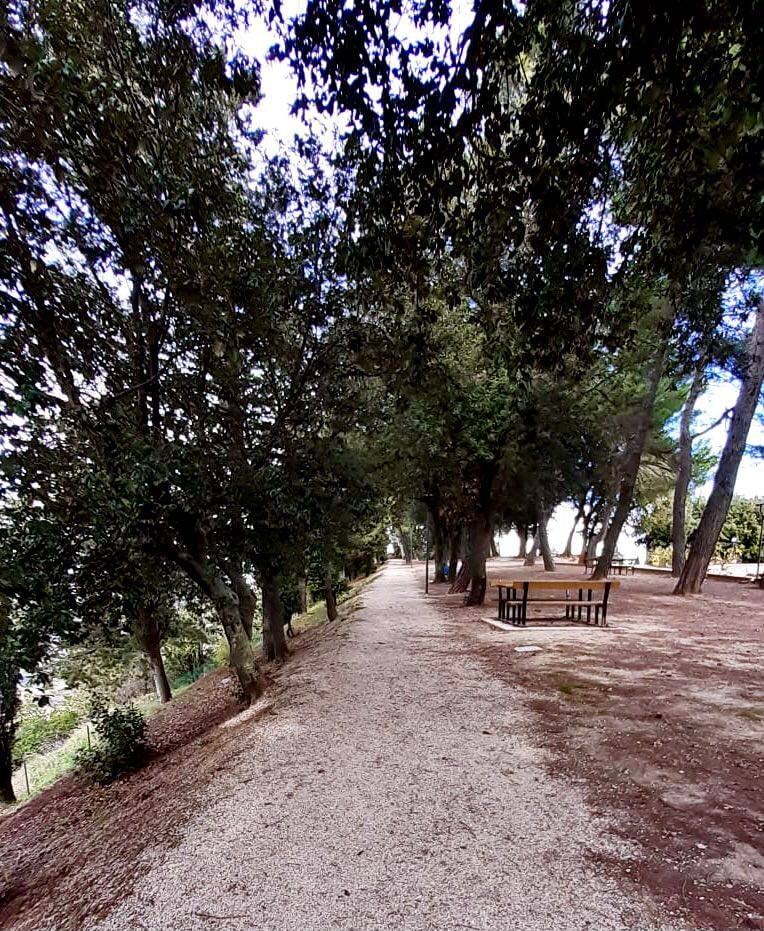 Cerimonia in memoria di luciano giannetti